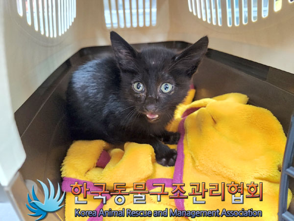 종료(자연사) 한국…